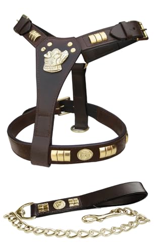 Staffie Staffordshire Bull Terrier Harnais en cuir et laisse pour
