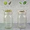 Microgreens Growing Kit Compatible with Mason Jar, 4-Pack Deep & Shallow Hydroponic Sprouting Trays for Indoor Gardening, Easy Indoor Microgreens Grower for Kitchen Herb Gardening and Home Growing #4