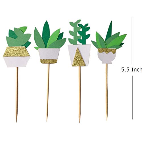 Janou Cactus Cupcake Toppers Fiesta Cake Toppers Picks Succulents Decor For Birthday Wedding Summer Luau Party Favors Pack 12Pcs #TOP2