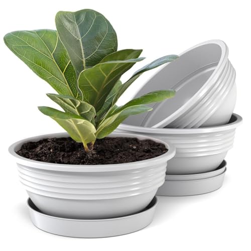 Plastard 3er Set Pflanzschalen mit Untersetzer – Ø 25 cm, Höhe 10 cm – Robuste Blumenschale Flach aus Kunststoff – Pflanztopf für Sukkulenten, Kräuter & Friedhof – Weiß