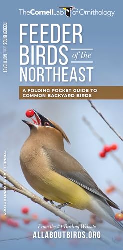 Feeder Birds of the Northeast: A Folding Pocket Guide to Common Backyard Birds (Cornell All about Birds)