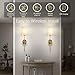 Troconce Wall Lights Battery Operated Wall Sconces Set of 2, Gold Rechargeable Wall Sconce with 15 RGB Dimmable Detachable Bulbs and Remote, Wireless Battery Powered Wall Lamp for Living Room Bedroom