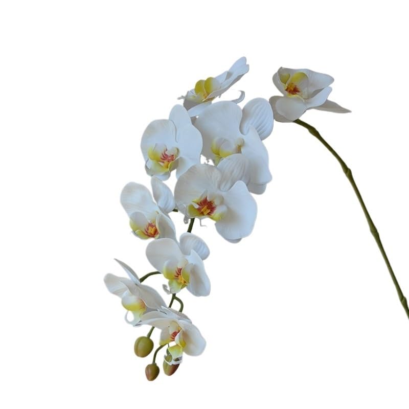 Orchidée Papillon Artificielle Fleurs artificielles Phalaenopsis