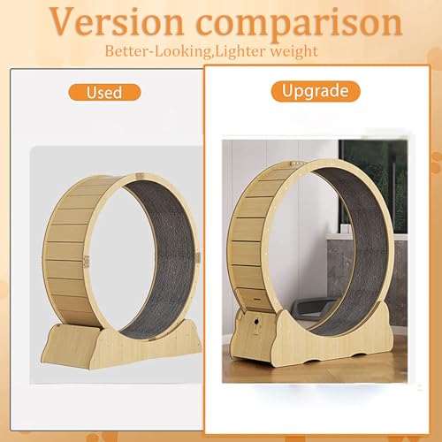 Rueda de ejercicio para gatos – Cinta de correr interior para animales pequeños, dispositivo de fitness y pérdida de peso, juguete para mascotas