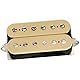 DiMarzio DP 255CR Transition Bridge Humbucker, E-Gitarren Tonabnehmer, Crème