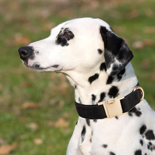 Petiry Soft Dog Collar with Safety Metal Buckle Adjustable Durable Comfort Velvet Corduroy Collars for Large Dogs Neck 40-66cm,Black - Image 2