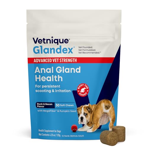 Image of Vetnique Glandex Anal Gland Health Soft Chew Treats with Pumpkin for Dogs Digestive Enzymes, Probiotics Fiber Supplement for Dogs Boot The Scoot (Advanced Strength Duck /Bacon, 30 Count)
