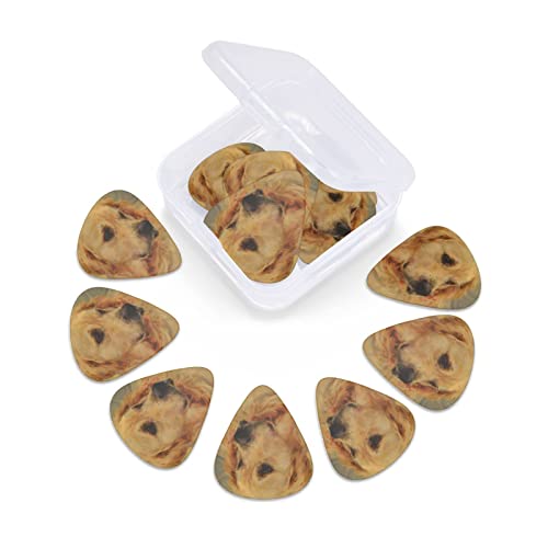 Pack de 12 médiators Golden Retriever pour guitare électrique Guitare acoustique Diverses guitares - Les Beatles, Paul McCartney, John Lennon, RIngo Starr, George Harrison Pack de 12 médiators Golden Retriever pour guitare électrique Guitare acoustique Diverses guitares – Image 6