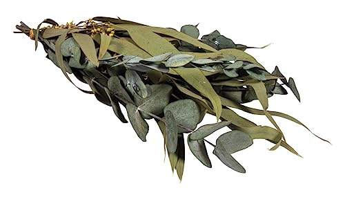 Rayher Ramas eucalipto natural, ramas secas decorativas, 30-35 cm, decoración rústica, 85493000