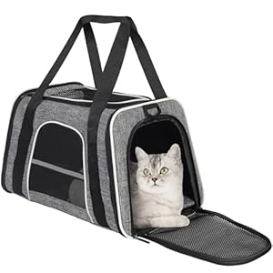 Katzen Transportboxen, Atmungsaktive und Faltbare Hundebox,Hundetasche Transportbox mit Verstellbarem Schultergurt für mittlere Katzen und kleine Hunde Welpen bis 14 lb (Grau) (Gray)