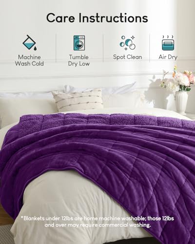 Cottonblue Weighted Blanket 15 lbs Queen Size, Flannel Shaggy Sherpa Weighted Blanket for Adults Comfortable Weighted Blankets for Calming and Relax, Bed Sofa Heavy Blankets, 60x80 inches, Purple