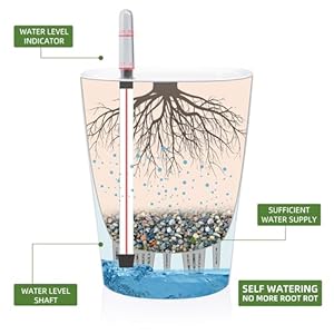 Dexceder 6x7 Self Watering Planter Indoor Outdoor, High Gloss Table Flower Plant Pot with Water Level Indicator (White) Dexceder 6×7 Self Watering Planter Indoor Outdoor High Gloss Table Flower Plant Pot with Water Level Indicator White