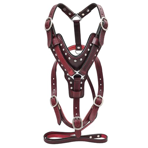 HILASON Large Mahogany Leather Dog Harness with Matching Leash | Durable, Padded, Adjustable Harness...