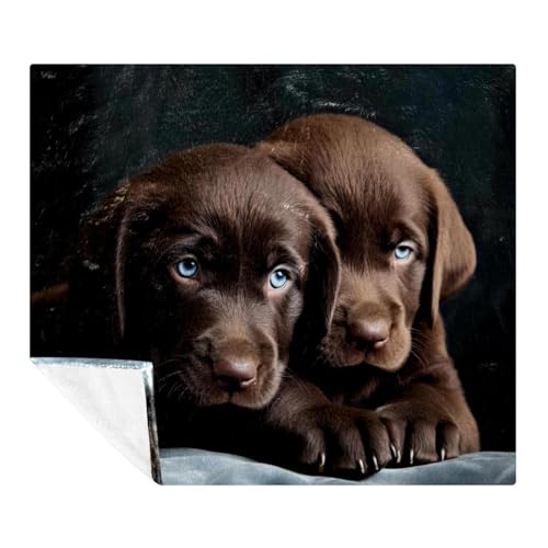 \t@pX[uPbgApuPbg,ƊDF̎q uPbgA59x78.7C`