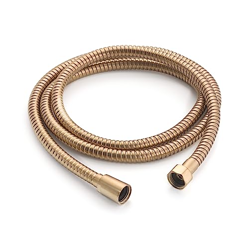 Moen A726Bg Hand Shower 69-Inch Metal Double Lock Hose, Brushed Gold #TOP26