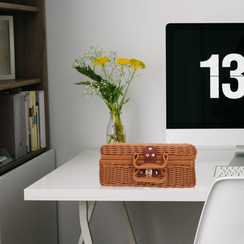 Tomaibaby Geflochtener Nachahmung Rattan Koffer Mit Schloss Und Auskleidung Kompakter Handgewebter Koffer Für Aufbewahrung Picknick Und Garten 12X8X4 Zoll
