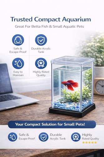 Image of Betta Fish Tank 13x12x20 cm Acrylic Aquarium with Lid | Small Desktop Fish Tank | Air Vent Hole | Easy Clean|Strong Acrylic Build| Compact Aquarium for Home & Office