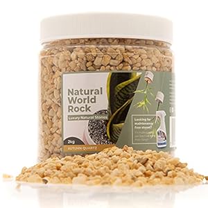Natural World Autumn Quartz Kieselsteine 2 kg