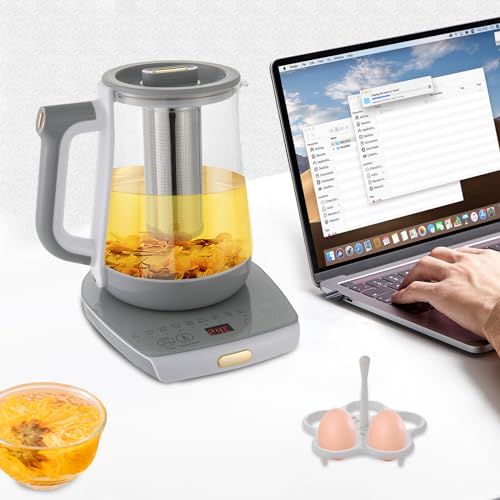 Hervidor eléctrico de vidrio con control digital y filtro de té miniatura 2