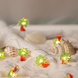 Holitown Rustic Home Decor String Lights Indoor USB Plug in & Battery Operated Lights with Remote 10