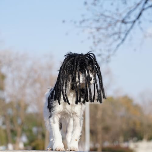Peluca para perro y gato con extensiones negras de rizos miniatura 3