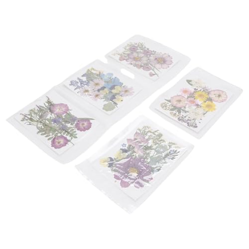 Flores secas prensadas para manualidades, 100 piezas miniatura 3