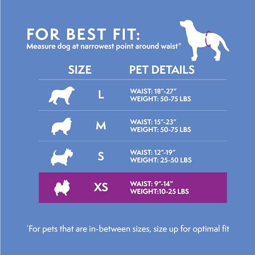 Image of Simple Solution Disposable Dog Diapers for Male Dogs - Male Wraps with Super Absorbent Leak-Proof Fit - Toy - 12 Count