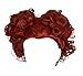 Red Hocus Pocus Winifred Sanderson Cosplay wig Xcoser Red Curly Hairs for Women