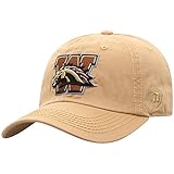 Top of the World Herren-Hut, lockere Passform, verstellbar, Team-Farbe, Primär-Symbol