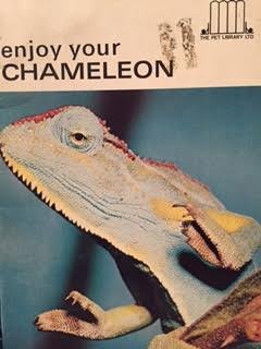 Paperback Enjoy Your Chameleon Book