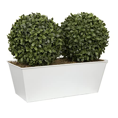 GreenBrokers Topiary Aglaia - Maceta de Madera de boj (35 cm), Color Blanco
