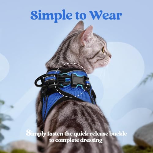 Image of rabbitgoo Cat Harness and Leash Set, Step-in Soft Vest, Blue | Escape Proof, Lightweight, Easy-on & Adjustable, Hook & Loop with Buckle, Reflective, for Small Cats Walks, XL