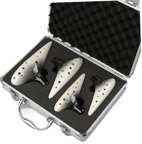 �I�J���i �Z���~�b�N�I�J���i�t���[�g�L�[�A���gC 1??2���Z�b�g(D)