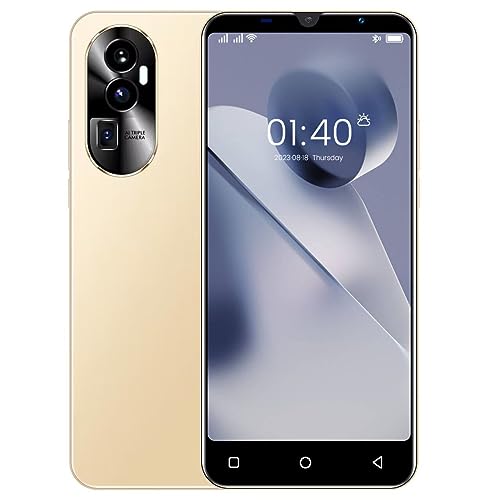 WRTogo Rino10 Cheap Mobile Phones, 5" Display 3G Dual SIM Smartphone, Quad Core, Android 9.0 OS, 5MP Dual Camera,16GB ROM(Expandable up to 128GB), 3000mAh Battery (Rino10-Gold)