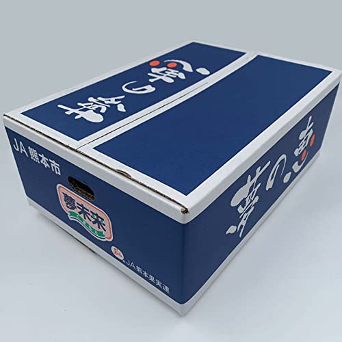 夢未来みかん【夢の恵】約4kg 赤秀【Mサイズ】お歳暮贈答用【北海道・離島地区は別途500円】11月中旬〜下旬頃発送日付指定不可