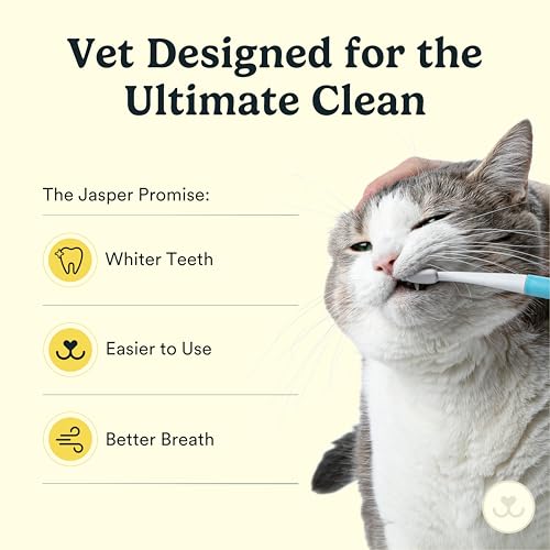 Image of Jasper Microbrush Vet Approved Cat Toothbrush, Soft-Bristled Toothbrush Kit for Felines & Small Dogs, Non-Slip Handle with 2 Replaceable Tooth Brush Heads, Use with Cat Toothpaste, 2-Pack, Gray Mist