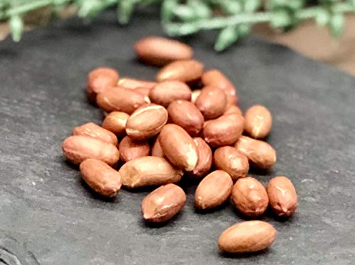 y܂ᒬ z  肽 Ԑ ɂ (ߔMCj130g