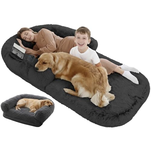 y3WAYp\t@[xbhz180cm ^EΉ ӂybgxbh 􂦂 p\t@[ NbVt ~ ƈꏏɐQ LuxDee (4 `R[O[)