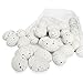 Yisscen Œufs de Pâques Suspendre, 50 Pièces Oeufs de Pâques en Plastique, Mini Faux œufs, Farce de Paniers de Pâques, Fête de Pâques Decoration à Suspendre, 4x3 cm