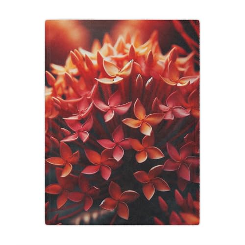 Ixora Cozy Blanket Featuring Small Fiery Clusters Inspired by South