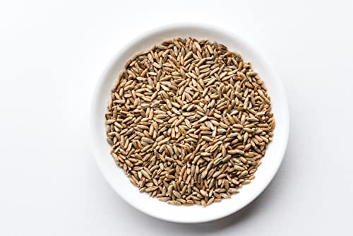 100% Organic Rye Berries, Non-Gmo, Kosher, Raw, Bulk Seeds, Product Of The Usa (10 Lb) #TOP4