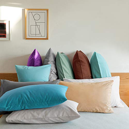 FLXXIE Microfiber Pillow Cases Standard Size, Soft Pillowcases with Envelope Closure, Wrinkle, Stain Resistant Pillow Covers, 20x26, Light Taupe