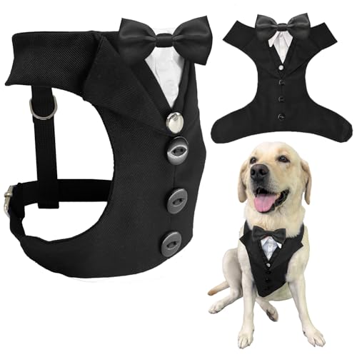 AVERYDAY �� �^�L�V�[�h �������� ���̃X�[�c �l�N�^�C �R�X�`���[�� �a���� �n���E�B�� �R�X�v�� �N���X�}�X �p�[�e�B�[ �y�b�g �t�H�[�}���E�F�A ���l�N�^�C�t�� �^�L�V�[�h ���^�� ��^�� �u���h�b�O ���u���h�[���E�n�X�L�[