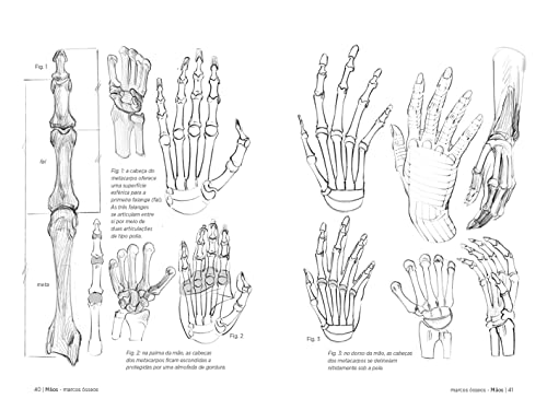 Anatomia artística 6: Mãos e pês
