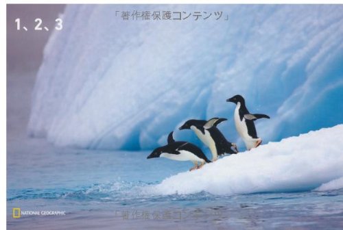無料電子書籍 アプリ ナショジオ ワンダーフォトブック 1、2、3 (ナショジオワンダーフォトブッ バイ
