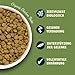 Lily's Kitchen Mit natürlichen Zutaten hergestellt Trockenfutter für ausgewachsene Hunde Hundefutter Bio Huhn-Auflauf Ausgewogene Ernährung 7kg Beutel