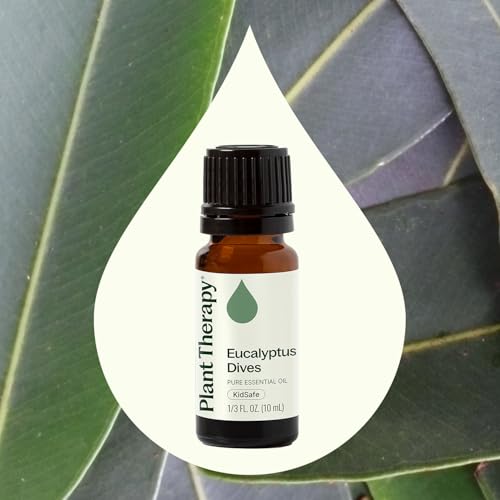 Aceite Esencial Eucalipto Dives 10 mL 100% Puro miniatura 3