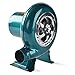 YYAI-HHJU Souffleur Électrique À Vitesse Variable 220 V - Souffleur De Charbon pour Barbecue - pour Barbecue, Outil De Cuisson pour Ventilateur De Cheminée, 40 W (30 W)