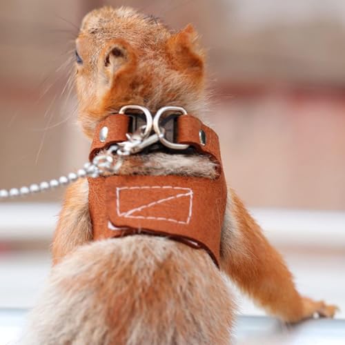 Image of 3PC Bearded Dragon Harness Leash Set Adjustable Soft Suede Leather Vest Harness with Traction Rope Outdoor Walking Escape-Proof for Reptile Lizard Squirrel Ferret (Brown)