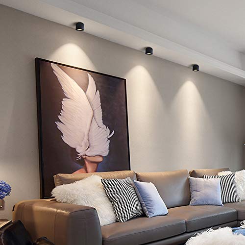 Mural Downlight COB en finition noire de haute qualité architecturale - 3